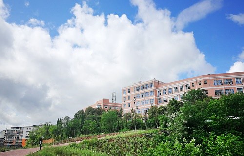 2023年四川省南充卫生学校招生计划